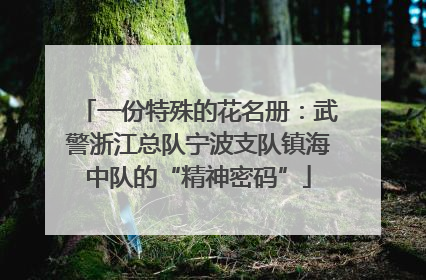 一份特殊的花名册：武警浙江总队宁波支队镇海中队的“精神密码”