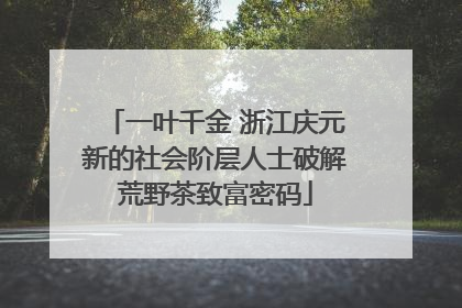一叶千金 浙江庆元新的社会阶层人士破解荒野茶致富密码