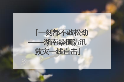一刻都不敢松劲——湖南桑植防汛救灾一线直击