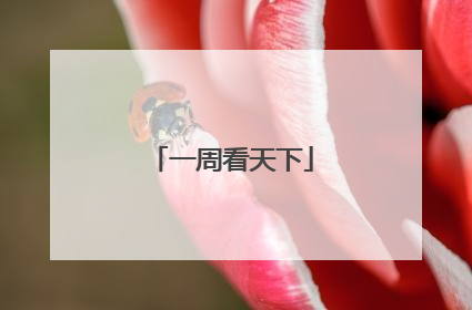 一周看天下