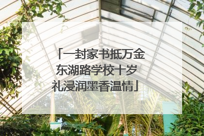 一封家书抵万金 东湖路学校十岁礼浸润墨香温情