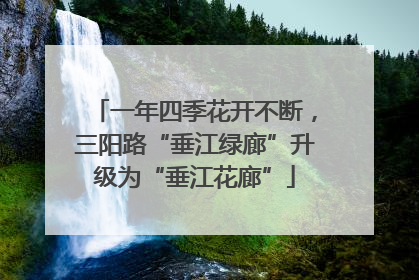 一年四季花开不断，三阳路“垂江绿廊”升级为“垂江花廊”