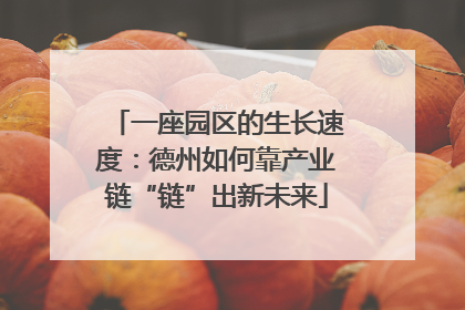 一座园区的生长速度：德州如何靠产业链“链”出新未来