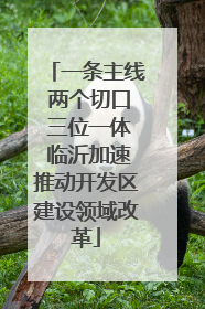 一条主线 两个切口 三位一体 临沂加速推动开发区建设领域改革