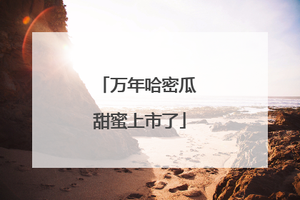万年哈密瓜甜蜜上市了