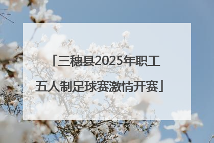 三穗县2025年职工五人制足球赛激情开赛
