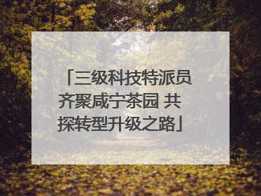 三级科技特派员齐聚咸宁茶园 共探转型升级之路