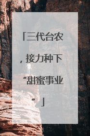 三代台农，接力种下“甜蜜事业”