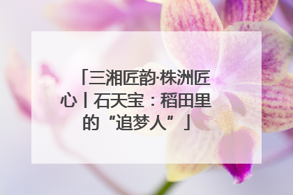 三湘匠韵·株洲匠心丨石天宝：稻田里的“追梦人”