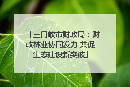 三门峡市财政局：财政林业协同发力 共促生态建设新突破