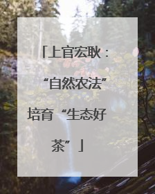 上官宏耿：“自然农法”培育“生态好茶”