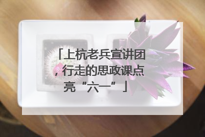 上杭老兵宣讲团，行走的思政课点亮“六一”