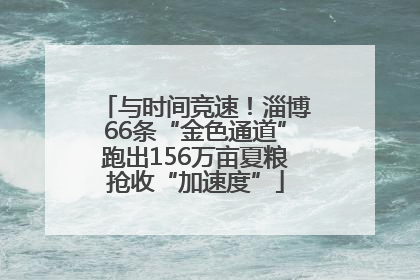 与时间竞速！淄博66条“金色通道”跑出156万亩夏粮抢收“加速度”