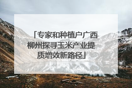专家和种植户广西柳州探寻玉米产业提质增效新路径