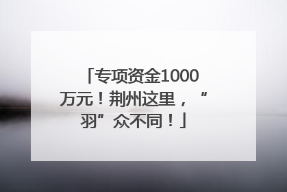 专项资金1000万元！荆州这里，“羽”众不同！