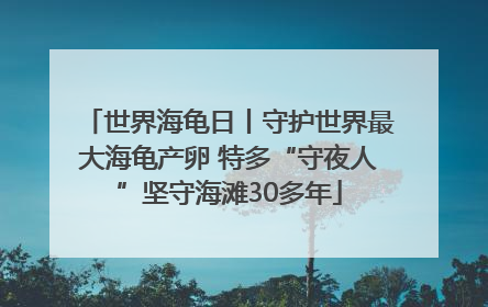 世界海龟日丨守护世界最大海龟产卵 特多“守夜人”坚守海滩30多年