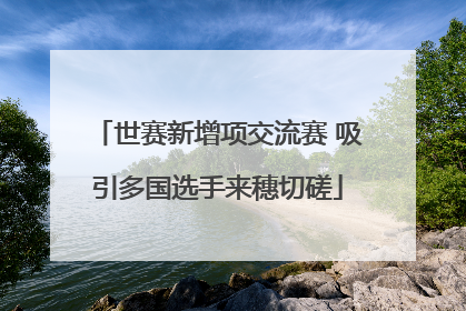 世赛新增项交流赛 吸引多国选手来穗切磋
