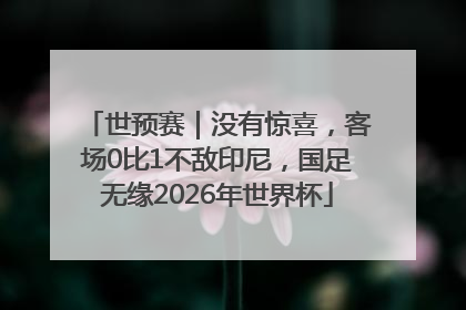 世预赛｜没有惊喜，客场0比1不敌印尼，国足无缘2026年世界杯