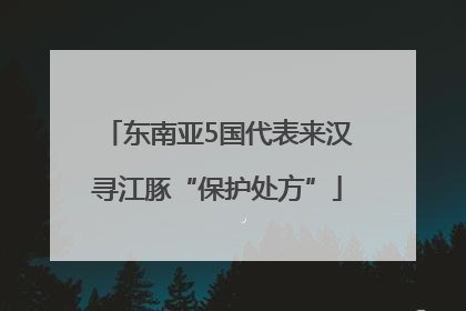 东南亚5国代表来汉寻江豚“保护处方”