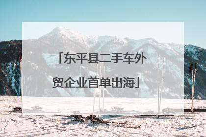 东平县二手车外贸企业首单出海