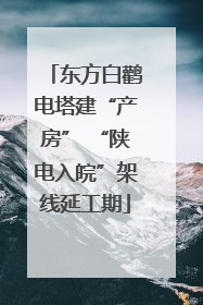 东方白鹳电塔建“产房” “陕电入皖”架线延工期