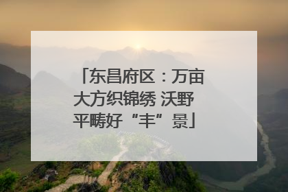 东昌府区：万亩大方织锦绣 沃野平畴好“丰”景