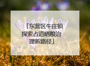 东营区牛庄镇探索占道晒粮治理新路径