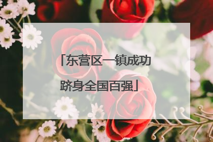 东营区一镇成功跻身全国百强
