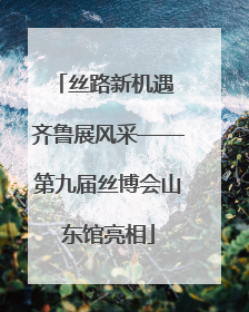 丝路新机遇 齐鲁展风采——第九届丝博会山东馆亮相