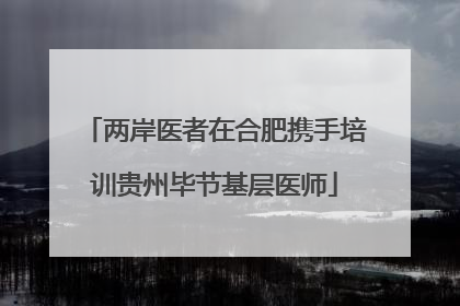 两岸医者在合肥携手培训贵州毕节基层医师
