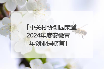 中关村协创园荣登2024年度安徽青年创业园榜首