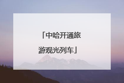 中哈开通旅游观光列车