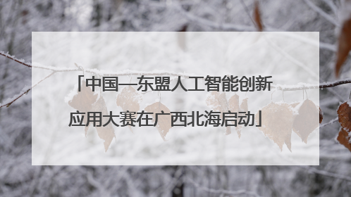 中国—东盟人工智能创新应用大赛在广西北海启动