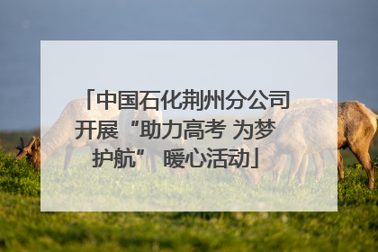中国石化荆州分公司开展“助力高考 为梦护航” 暖心活动