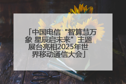 中国电信“智算慧万象 星辰启未来”主题展台亮相2025年世界移动通信大会