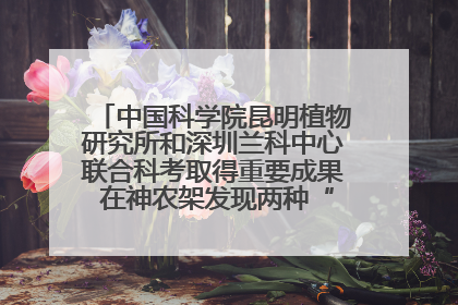 中国科学院昆明植物研究所和深圳兰科中心联合科考取得重要成果 在神农架发现两种“国保”级兰花