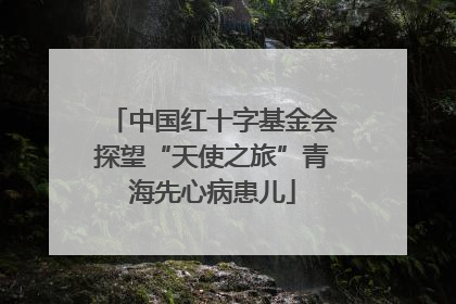 中国红十字基金会探望“天使之旅”青海先心病患儿