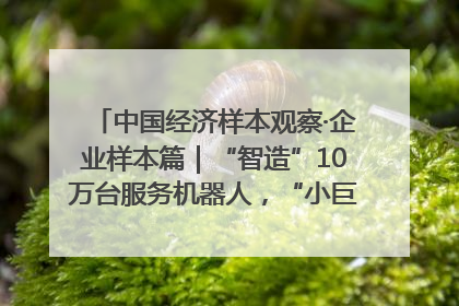 中国经济样本观察·企业样本篇｜“智造”10万台服务机器人，“小巨人”擎朗有大梦想