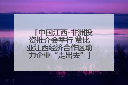 中国江西-非洲投资推介会举行 赞比亚江西经济合作区助力企业“走出去”