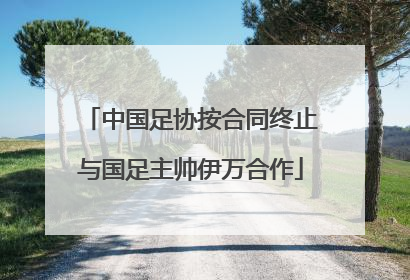 中国足协按合同终止与国足主帅伊万合作