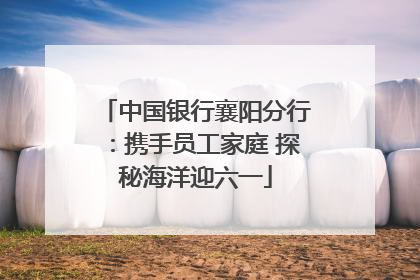 中国银行襄阳分行：携手员工家庭 探秘海洋迎六一