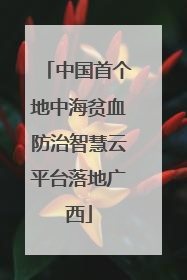 中国首个地中海贫血防治智慧云平台落地广西