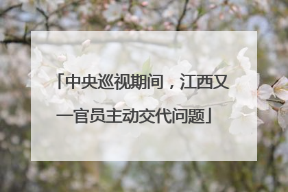 中央巡视期间，江西又一官员主动交代问题