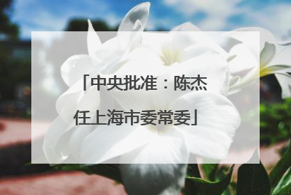 中央批准：陈杰任上海市委常委