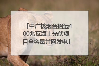 中广核烟台招远400兆瓦海上光伏项目全容量并网发电