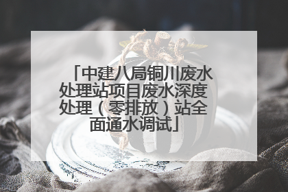 中建八局铜川废水处理站项目废水深度处理（零排放）站全面通水调试