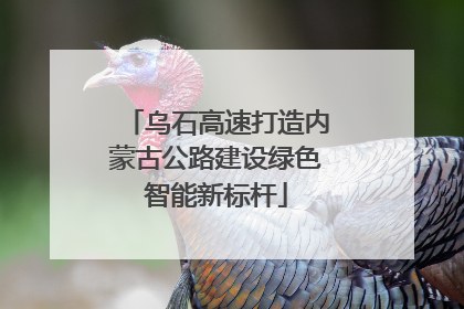 乌石高速打造内蒙古公路建设绿色智能新标杆