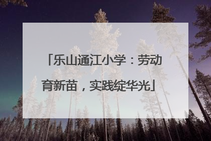 乐山通江小学：劳动育新苗，实践绽华光