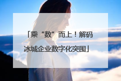 乘“数”而上！解码冰城企业数字化突围