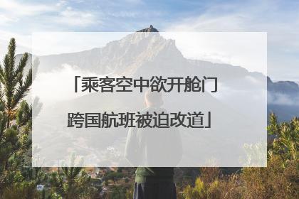 乘客空中欲开舱门 跨国航班被迫改道